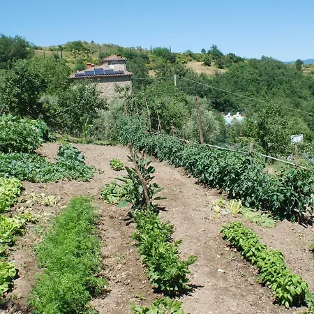 Holiday home Casa Fantone Poppi