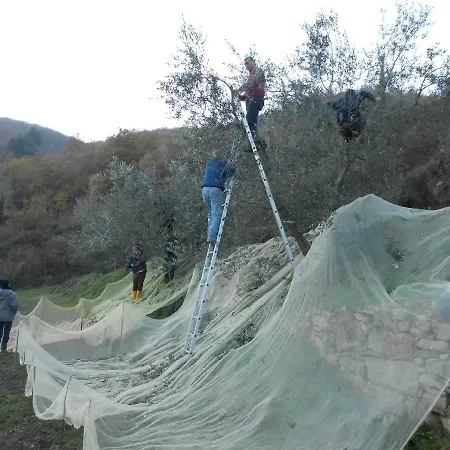 Casa Fantone Poppi
